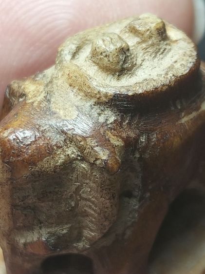 ❌ปิดครับ❌ช้างเก่าๆสภาพหิ้งบ้านๆครับ รูปที่ 13