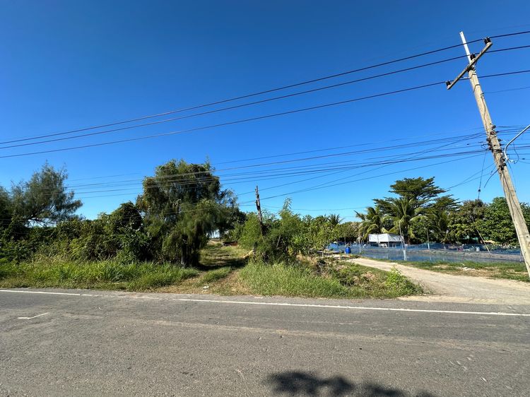 ขายที่ 44 ไร่ อำเภอคลองหลวง ติดถนนธัญบุรี-วังน้อย (352) ยาวจรดถนนเลียบคลอง 7   รูปที่ 4