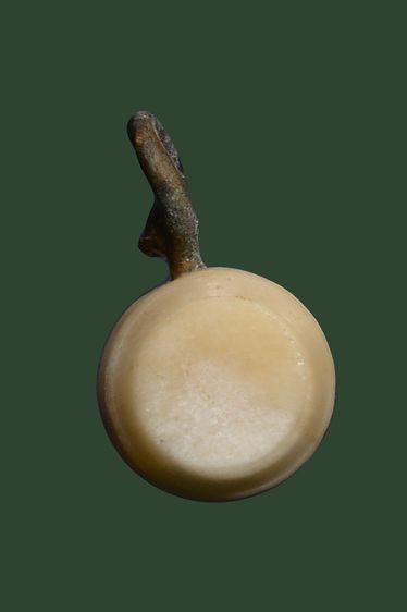 ตะโพนหลวงพ่อพักวัดโบสถ์ รูปที่ 4