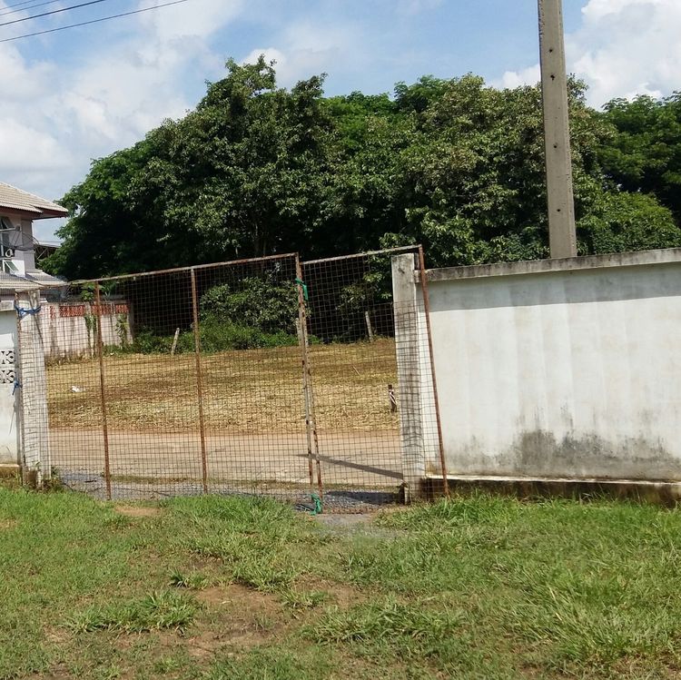 ขายที่ดิน 1 งาน 19 ตรว. พร้อมบ้าน 2 หลัง จ.อยุธยา รูปที่ 4