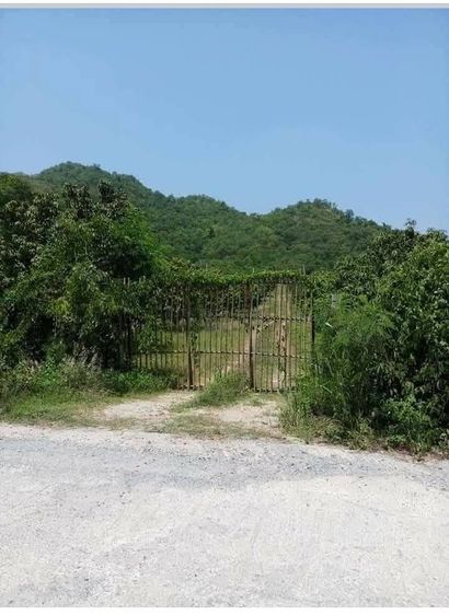 ขายที่ดินวิวภูเขา 32 ไร่ 1 งาน 4 ตรว. อ.ปากช่อง โคราช รูปที่ 2