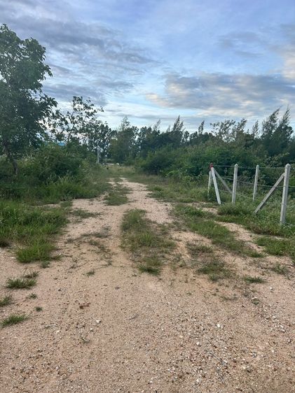 ที่ดินสวย