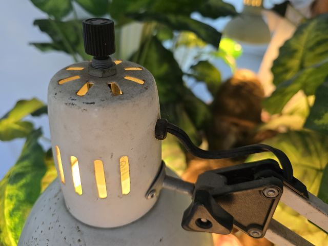 โคมไฟตั้งโต๊ะ งานเก่า สภาพสมบูรณ์ ใช้งานได้  รูปที่ 5