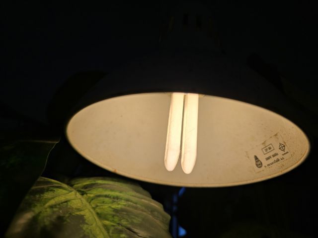 โคมไฟตั้งโต๊ะ งานเก่า สภาพสมบูรณ์ ใช้งานได้  รูปที่ 3