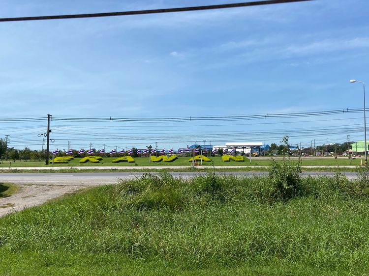 ขายที่ดินภาคอีสานตรงข้ามโรงงานน้ำตาลขายที่ดินภาคอีสาน หน้าโรงงานน้ำตาลเอราวัณ รูปที่ 2