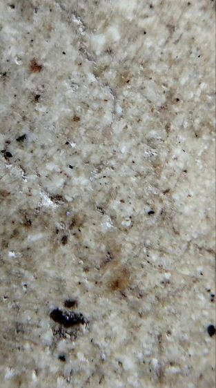 พระสมเด็จวัดระฆัง บางขุนพรหม เกศไชโย หลวงปู่ภู รูปที่ 18