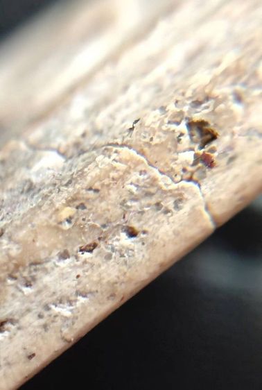 พระสมเด็จวัดระฆัง บางขุนพรหม เกศไชโย หลวงปู่ภู รูปที่ 11