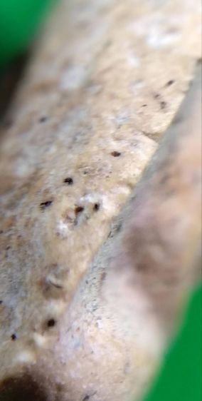 พระสมเด็จวัดระฆัง บางขุนพรหม เกศไชโย หลวงปู่ภู รูปที่ 4