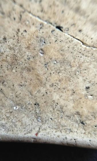 พระสมเด็จวัดระฆัง บางขุนพรหม เกศไชโย หลวงปู่ภู รูปที่ 10