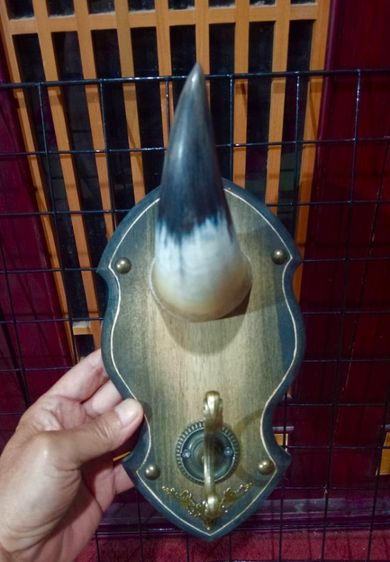 แท้สุดงามใหม่สภาพเยี่ยมชุดที่เปิดขวด,แขวนหมวก รูปที่ 14