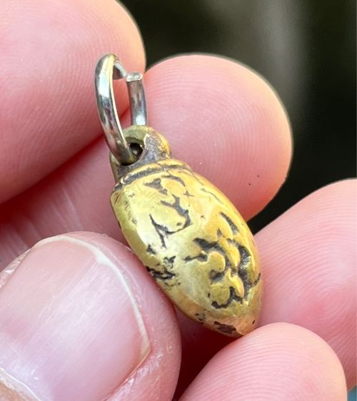 เต่าหลวงพ่อเงิน รูปที่ 3