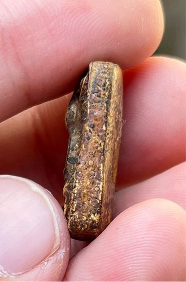 หลวงปู่เผือก รูปที่ 5