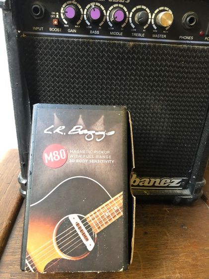 lr Baggs m80