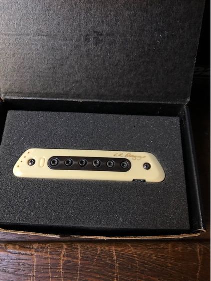 lr Baggs m80 รูปที่ 9