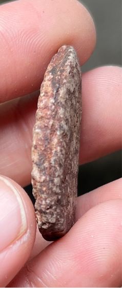 หลวงปู่บุญเนื้อผงยาเก่าๆ รูปที่ 5