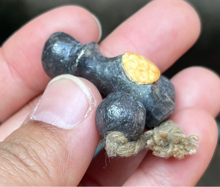 ตะกรุดฝังเบี้ย รูปที่ 3