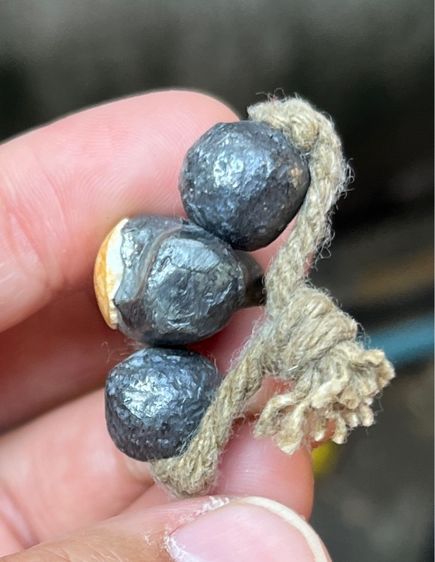 ตะกรุดฝังเบี้ย รูปที่ 4