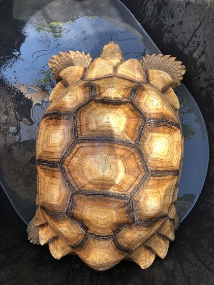 หา 🏠  รูปที่ 2