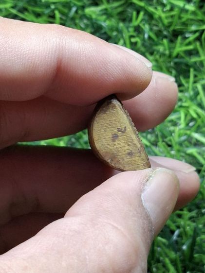 (ปิดแล้วครับ)หลวงพ่อเดิมไม่ทราบรุ่นปี รูปที่ 3