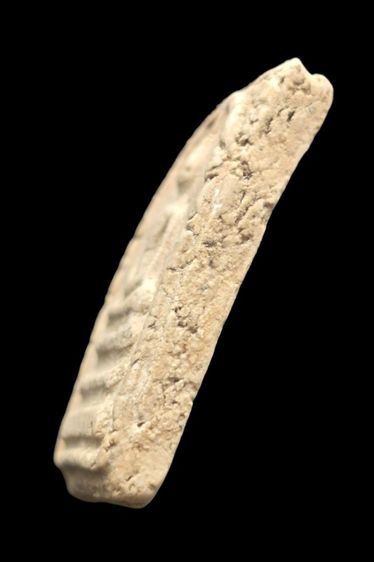 พระสมเด็จพิมพ์ใหญ่ รูปที่ 3