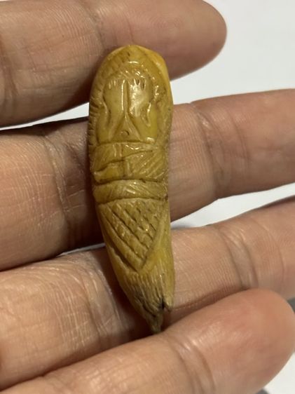 ไม่ทราบที่