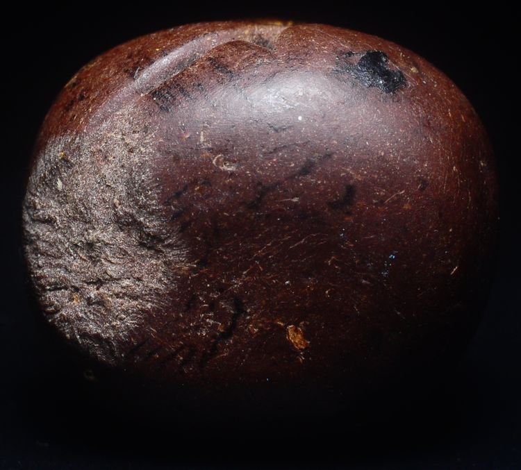 พระหลวงพ่อแก้ว พิมพ์ปั้น ก้นพระ มีรอยแมลงกินหน่อยครับ รูปที่ 5