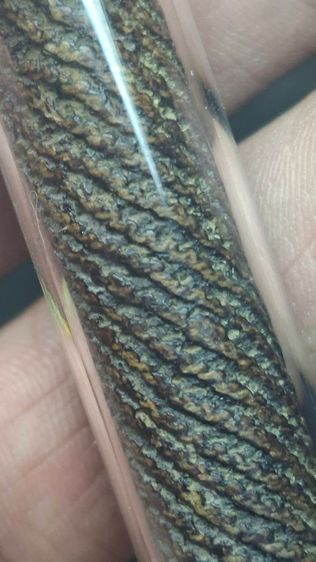 ตระกรุดจันทร์เพ็ญ หลวงปู่ศุขวัดปากคลองมะขามเฒ่า รูปที่ 2