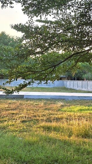 ใช่ ที่สวยใกล้ตลาด ทำเลดี ติดถนนพร้อมสร้างบ้านขาย  รูปที่ 2