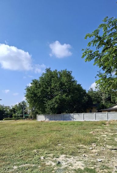 ใช่ ที่สวยใกล้ตลาด ทำเลดี ติดถนนพร้อมสร้างบ้านขาย  รูปที่ 4