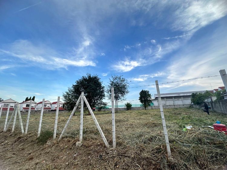 ขายที่ดินในหมู่บ้านเอื้ออาทร อ.ปากช่อง ทำเลดี ใกล้ชุมชน เหมาะลงทุนระยะยาว 