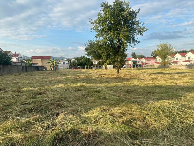 ขายที่ดินในหมู่บ้านเอื้ออาทร อ.ปากช่อง ทำเลดี ใกล้ชุมชน เหมาะลงทุนระยะยาว  รูปที่ 2