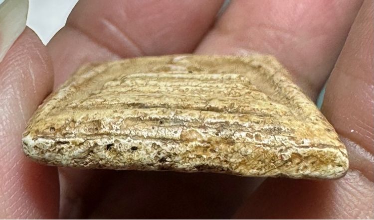 🙏พระสมเด็จพิมพ์ใหญ่เนื้อแก่ปูนเปลือกหอย 🙏พระสมเด็จพิมพ์ใหญ่พระประธาน🙏หลวงปู่นาค วัดระฆังฯ พิมพ์ซุ้มระฆัง ปี พ.ศ.๒๔๙๕ องค์ละ1000 รูปที่ 5