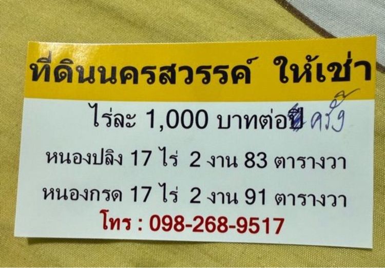 ไม่ใช่ ให้เช่าที่ดินทำนา ทำไร่มันสำปะหลัง รูปที่ 2