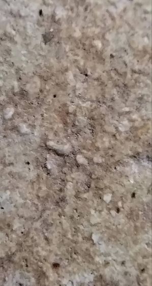 พระสมเด็จวัดระฆัง บางขุนพรหม เกศไชโย หลวงปู่ภู หลวงปู่นาค รูปที่ 18