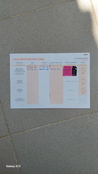 ด.ญ.สก็อตติชหูตั้ง พ่อ-แม่ใบเพ็ดscfc รูปที่ 6