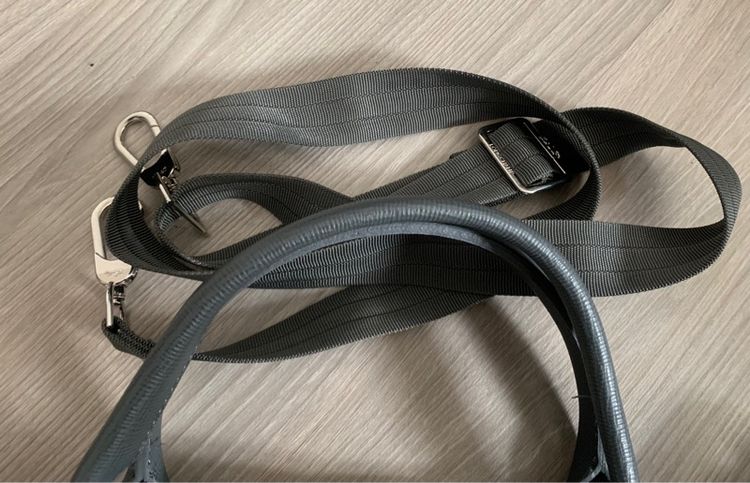 กระเป๋าสะพาย longchamp  รูปที่ 2