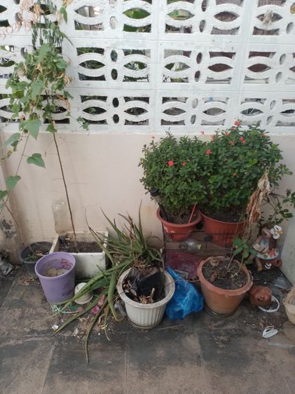 โต๊ะอเนกประสงค์วินเทจ สมัยคุณแม่ยังสาว มีตัวเดียว รูปที่ 13