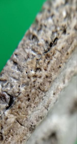 พระสมเด็จวัดระฆัง บางขุนพรหม เกศไชโย หลวงปู่ภู หลวงปู่นาค หลวบพ่อโหน่ง รูปที่ 15