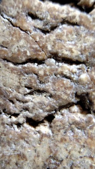 พระสมเด็จวัดระฆัง บางขุนพรหม เกศไชโย หลวงปู่ภู หลวงปู่นาค หลวบพ่อโหน่ง รูปที่ 6