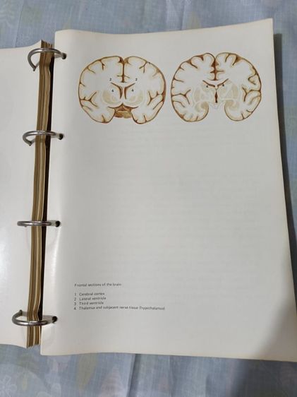 หนังสือแพทย์Manual of anatomy and physiolopy1976
 รูปที่ 9