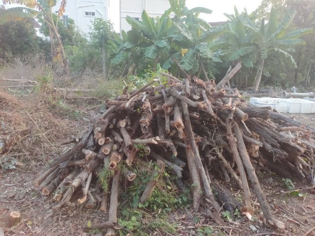 ไม้ทำฟืน