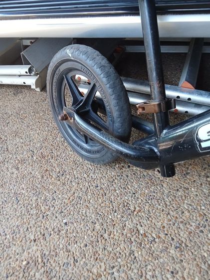 ขาไภสไดเตอร์.japan รูปที่ 6