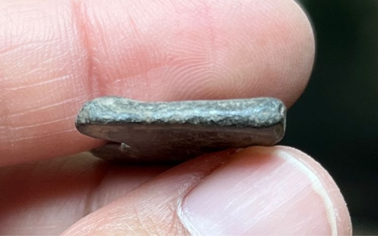 พระนาคปรก รูปที่ 4