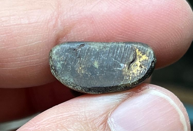 หลวงพ่อไปล่ รูปที่ 4