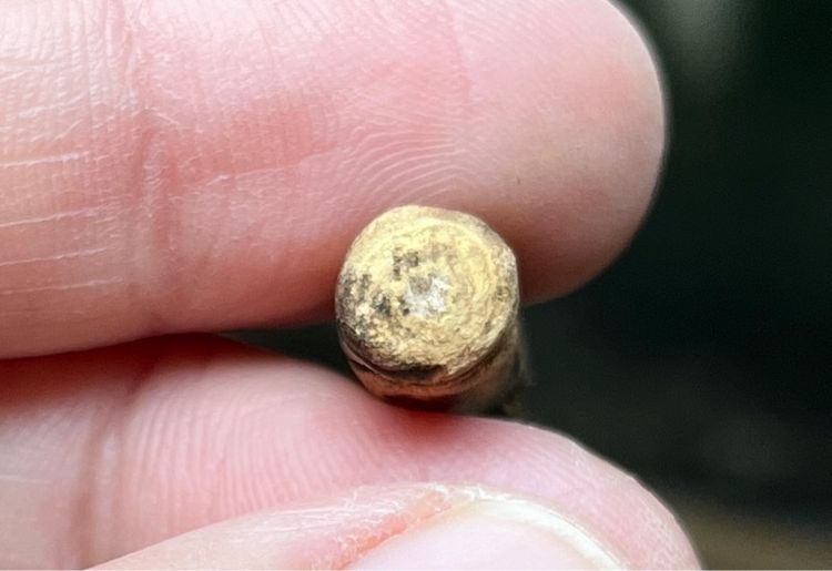 ลิงหลวงพ่อดิ่ง รูปที่ 4