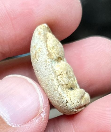 พระวัดพลับ รูปที่ 5