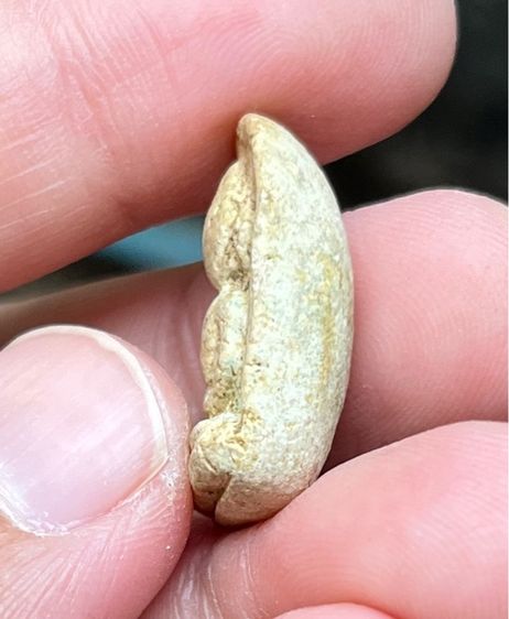 พระวัดพลับ รูปที่ 3