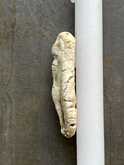 ของเก่าสะสม รูปที่ 7