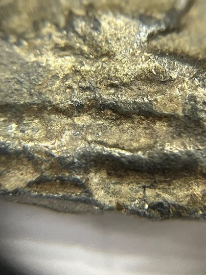 มเหศวรครับ รูปที่ 8