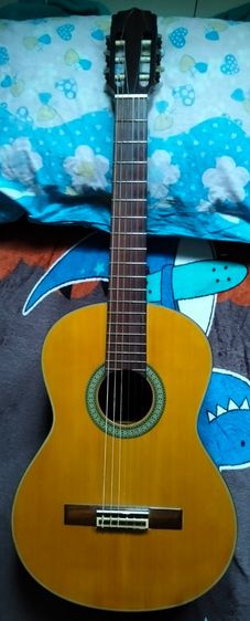 ขายกีต้าร์ aria ak40 สภาพดีอยู่นนทบุรีครับ